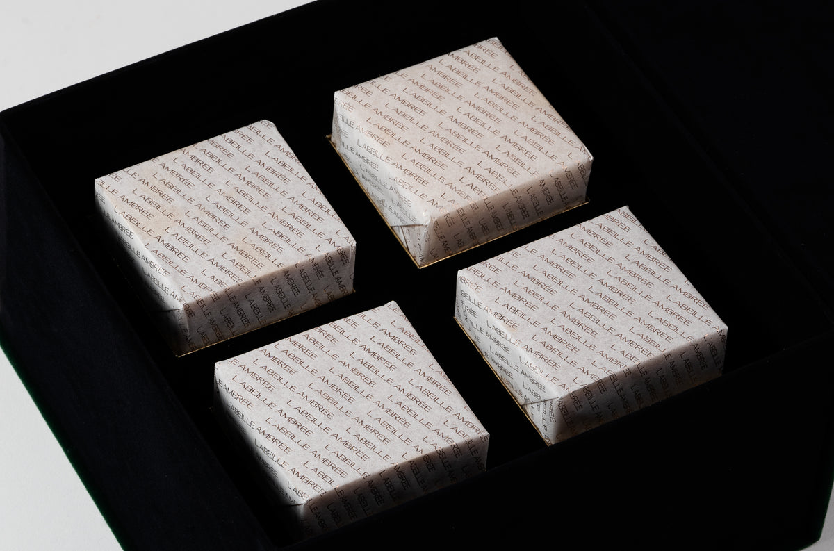 Echoes of Love (Soap)